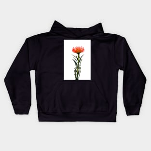 Flowering Pincushion Protea Kids Hoodie